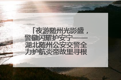 夜游随州光影盛，警徽闪耀护安宁——湖北随州公安交警全力护航炎帝故里寻根节夜游活动侧记