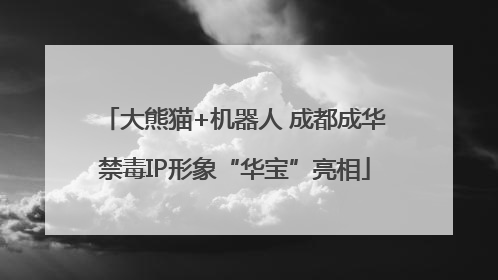 大熊猫+机器人 成都成华禁毒IP形象“华宝”亮相