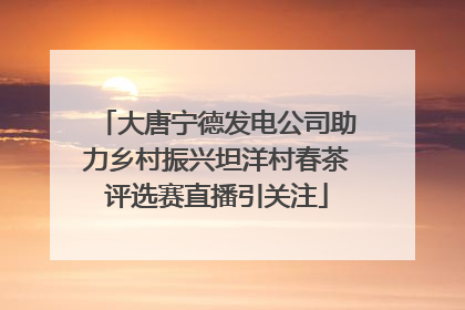 大唐宁德发电公司助力乡村振兴坦洋村春茶评选赛直播引关注