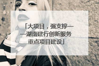 大项目，强支撑——湖南建行创新服务重点项目建设