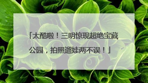 太酷啦！三明惊现超绝宝藏公园，拍照遛娃两不误！