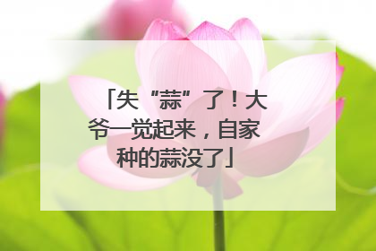失“蒜”了！大爷一觉起来，自家种的蒜没了