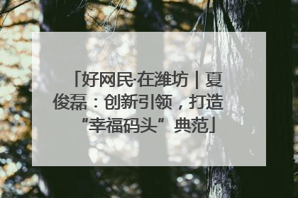 好网民·在潍坊｜夏俊磊：创新引领，打造“幸福码头”典范