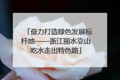 奋力打造绿色发展标杆地——浙江丽水靠山吃水走出特色路