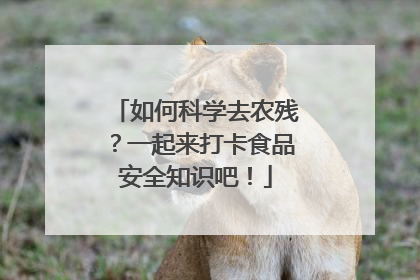 如何科学去农残？一起来打卡食品安全知识吧！