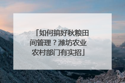 如何搞好秋粮田间管理？潍坊农业农村部门有实招
