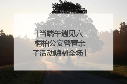 当端午遇见六一 桐柏公安警营亲子活动嗨翻全场
