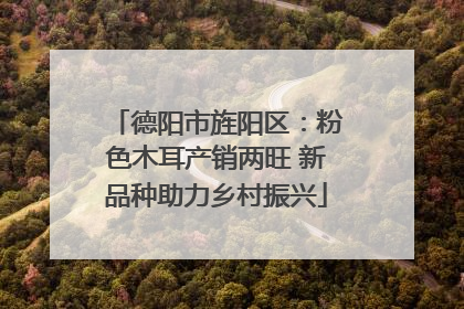 德阳市旌阳区：粉色木耳产销两旺 新品种助力乡村振兴