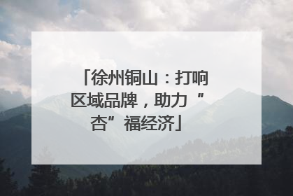 徐州铜山：打响区域品牌，助力“杏”福经济