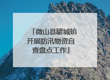 微山县驩城镇开展防汛物资自查盘点工作