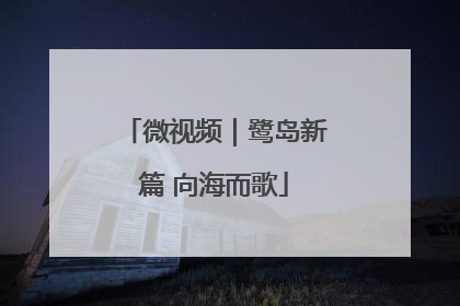 微视频｜鹭岛新篇 向海而歌