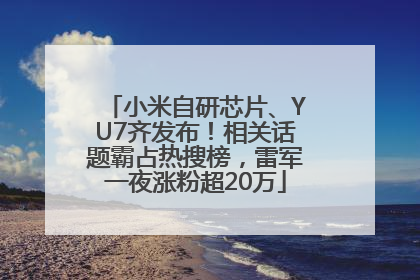 小米自研芯片、YU7齐发布！相关话题霸占热搜榜，雷军一夜涨粉超20万