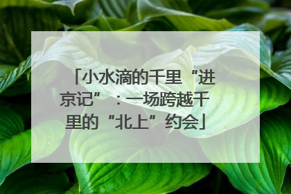 小水滴的千里“进京记”：一场跨越千里的“北上”约会