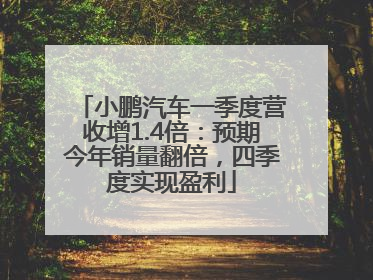 小鹏汽车一季度营收增1.4倍：预期今年销量翻倍，四季度实现盈利
