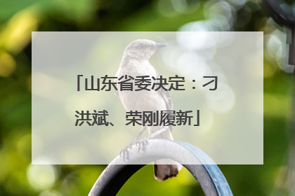 山东省委决定：刁洪斌、荣刚履新