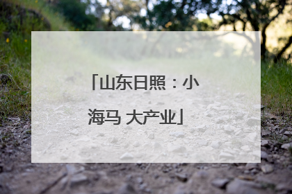 山东日照：小海马 大产业