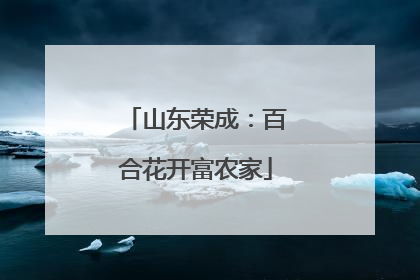 山东荣成：百合花开富农家