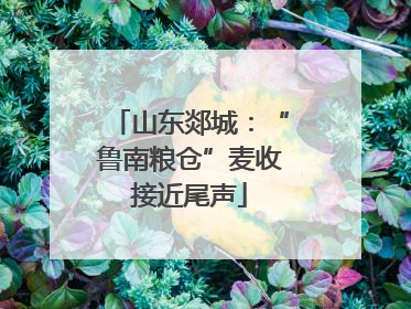 山东郯城：“鲁南粮仓”麦收接近尾声