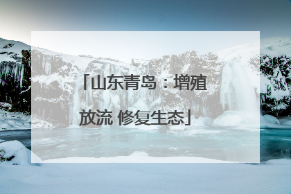 山东青岛：增殖放流 修复生态