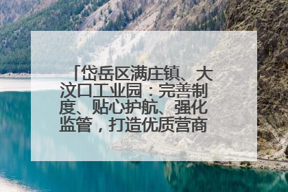 岱岳区满庄镇、大汶口工业园：完善制度、贴心护航、强化监管，打造优质营商“强磁场”