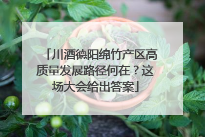 川酒德阳绵竹产区高质量发展路径何在？这场大会给出答案