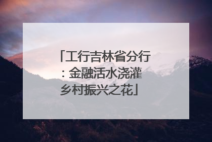 工行吉林省分行：金融活水浇灌 乡村振兴之花