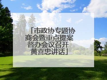 市政协专题协商会暨重点提案督办会议召开 黄喜忠讲话