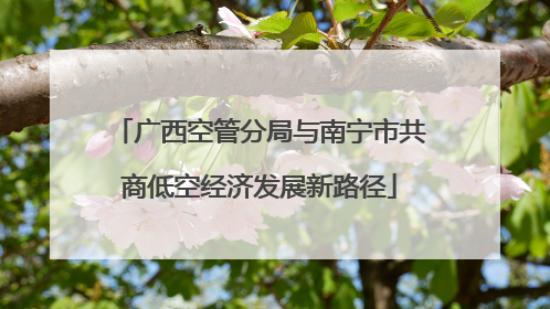 广西空管分局与南宁市共商低空经济发展新路径