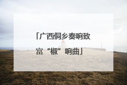 广西侗乡奏响致富“椒”响曲