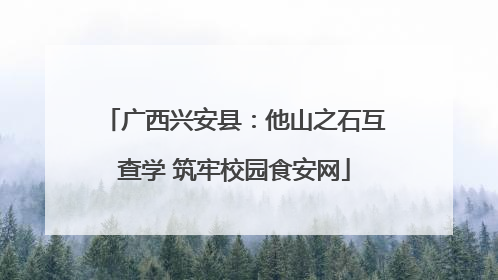 广西兴安县：他山之石互查学 筑牢校园食安网