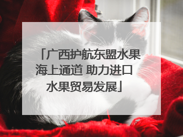 广西护航东盟水果海上通道 助力进口水果贸易发展