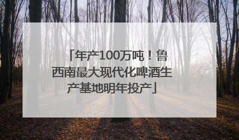 年产100万吨！鲁西南最大现代化啤酒生产基地明年投产