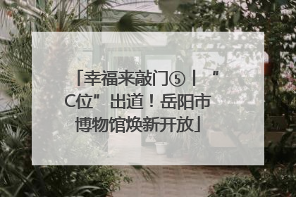 幸福来敲门⑤丨“C位”出道！岳阳市博物馆焕新开放