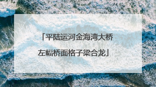 平陆运河金海湾大桥左幅桥面格子梁合龙