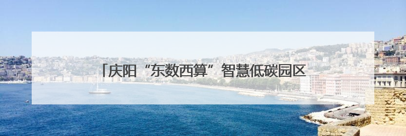 庆阳“东数西算”智慧低碳园区实践项目亮相第三届上海碳博会