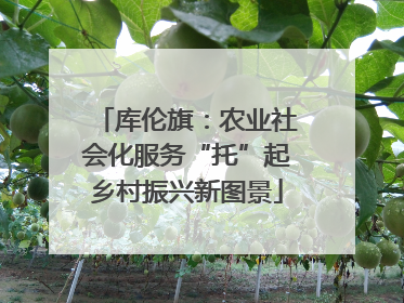 库伦旗：农业社会化服务“托”起乡村振兴新图景
