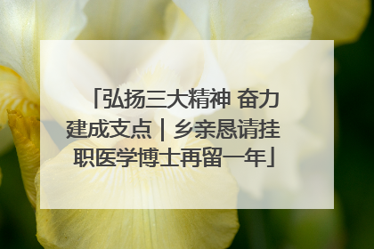 弘扬三大精神 奋力建成支点｜乡亲恳请挂职医学博士再留一年