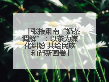 张掖肃南“奶茶调解”：以茶为媒化纠纷 共绘民族和谐新画卷