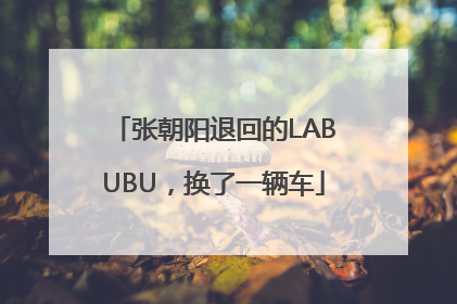 张朝阳退回的LABUBU，换了一辆车