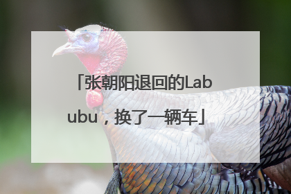 张朝阳退回的Labubu，换了一辆车