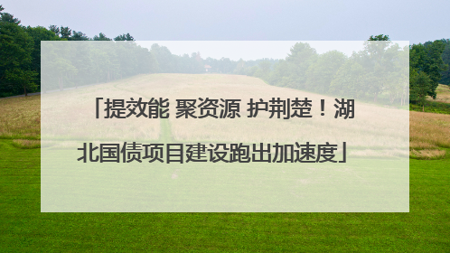 提效能 聚资源 护荆楚！湖北国债项目建设跑出加速度