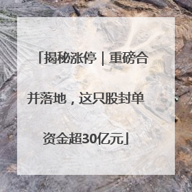 揭秘涨停｜重磅合并落地，这只股封单资金超30亿元