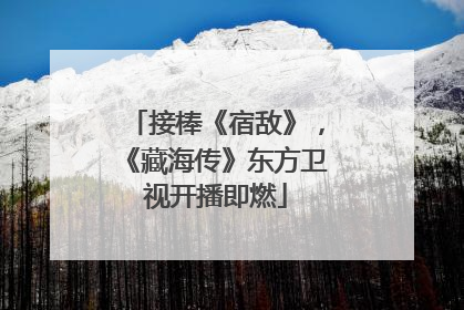 接棒《宿敌》，《藏海传》东方卫视开播即燃