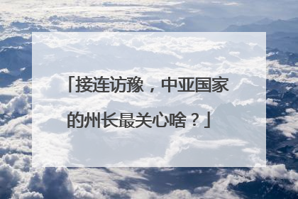 接连访豫，中亚国家的州长最关心啥？