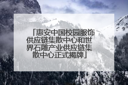 惠安中国校园服饰供应链集散中心和世界石雕产业供应链集散中心正式揭牌