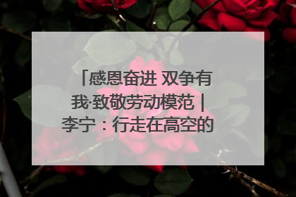 感恩奋进 双争有我·致敬劳动模范｜李宁：行走在高空的“电网卫士”