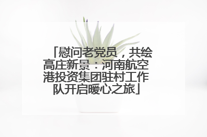 慰问老党员，共绘高庄新景：河南航空港投资集团驻村工作队开启暖心之旅