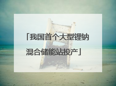 我国首个大型锂钠混合储能站投产