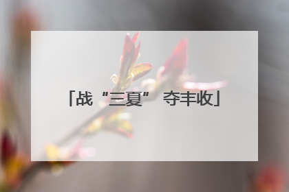 战“三夏” 夺丰收