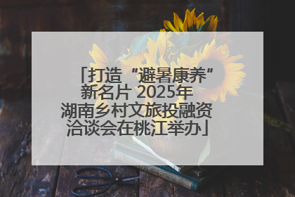 打造“避暑康养”新名片 2025年湖南乡村文旅投融资洽谈会在桃江举办